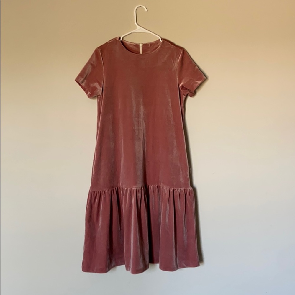 Velveteen rose dress